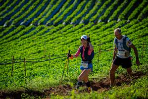 BIB: 9514
                            <button type="button" onclick="openModal(19160553)" class="btn btn-primary btn-sm float-right btn-popup" data-toggle="modal" data-target=".modal-high-quality">
                        <i class="fas fa-shopping-cart"></i> Add to Cart
                    </button>
                                            <button type="button" onclick="isThisMe(19160553, true)" class="btn btn-success btn-sm float-right btn-popup btn-isme hidden" data-toggle="tooltip" data-placement="bottom" title="นี่คือรูปของคุณใช่ไหม คลิกที่นี่เพื่อเอาเข้าอัลบั้ม">
                        <i class="fas fa-plus"></i> Add to album
                    </button>
                    <button type="button" onclick="isThisMe(19160553, false)" class="btn btn-warning btn-sm float-right btn-popup btn-isnotme hidden">
                        <i class="fas fa-ban"></i> Remove from album
                    </button>